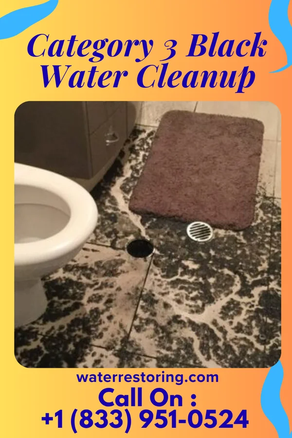 Category 3 Black Water Cleanup in Wyoming, OH