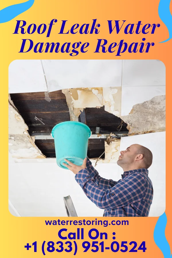 Roof Leak Water Damage Repair in Wyoming, OH