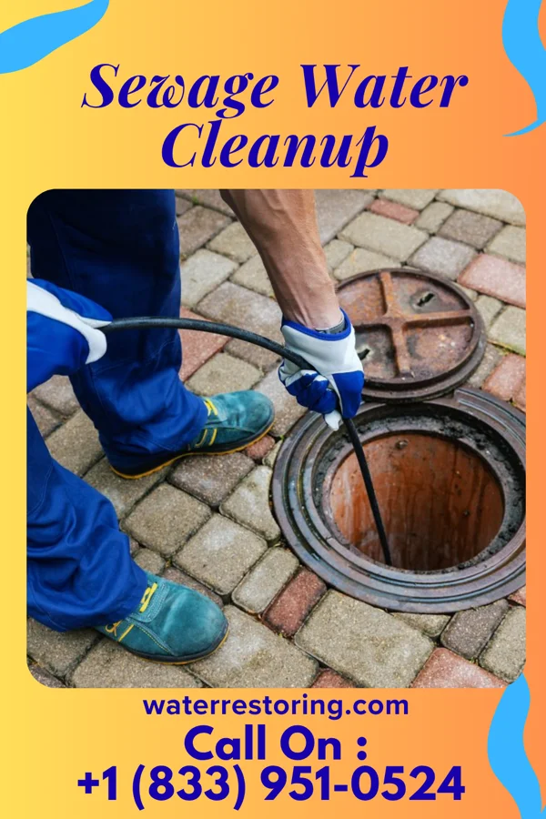Sewage Water Cleanup in Wyoming, OH