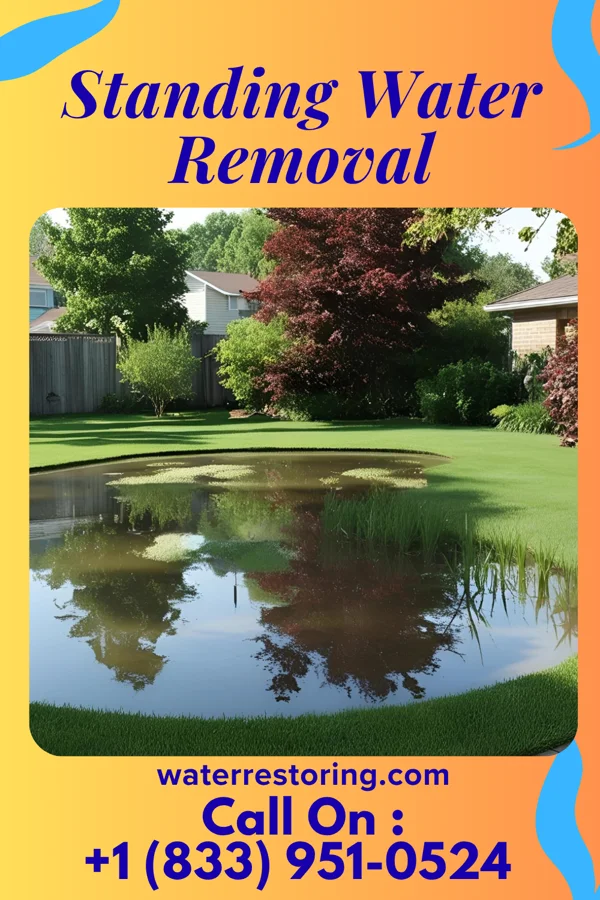 Standing Water Removal in Wyoming, OH